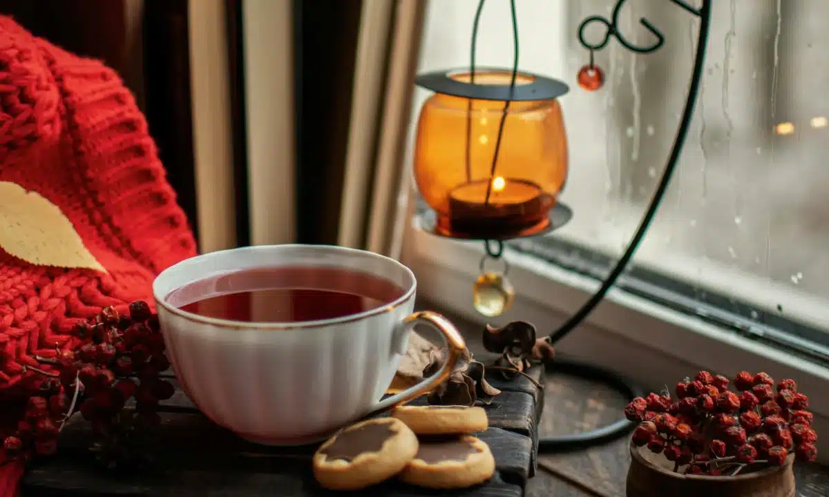 Прогноз погоди для Рівненщини на 4 грудня. Без істотних опадів, вночі та вранці слабкий туман Прогноз погоди для Рівненщини на 4 грудня. Без істотних опадів, вночі та вранці слабкий туман