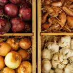 Чому гниє цибуля взимку та як зберегти врожай до весни без втрат Зберігання цибулі і часнику в ящиках.