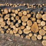 Через фейкові дрова жителі області втратили десятки тисяч гривень Дрова