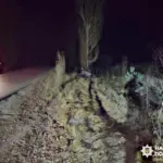 Місце ДТП у Тріскинях.