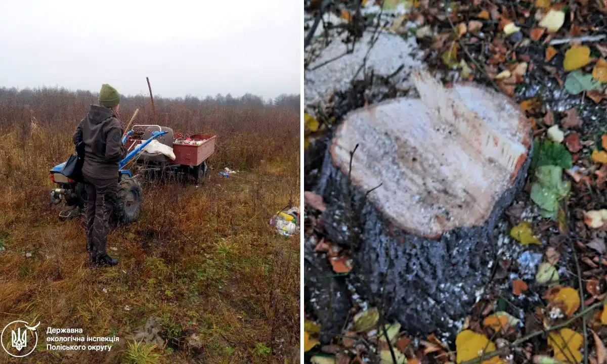 Несанкціоновані звалища та порубка дерев: що виявили екологи на Сарненщині Мотоблок зі сміттям, інспекторка, і пеньок від дерева.