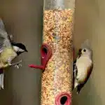 Якою буде погода на Рівненщині 18 грудня – вдень прогнозується до +7 Якою буде погода на Рівненщині 18 грудня – вдень прогнозується до +7