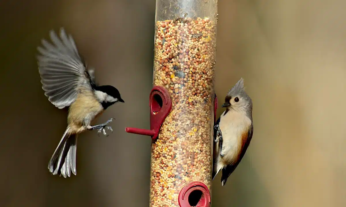 Якою буде погода на Рівненщині 18 грудня – вдень прогнозується до +7 Якою буде погода на Рівненщині 18 грудня – вдень прогнозується до +7