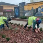 У Рівному продовжують прибирати вулиці та оновлювати клумби комунальники працюють