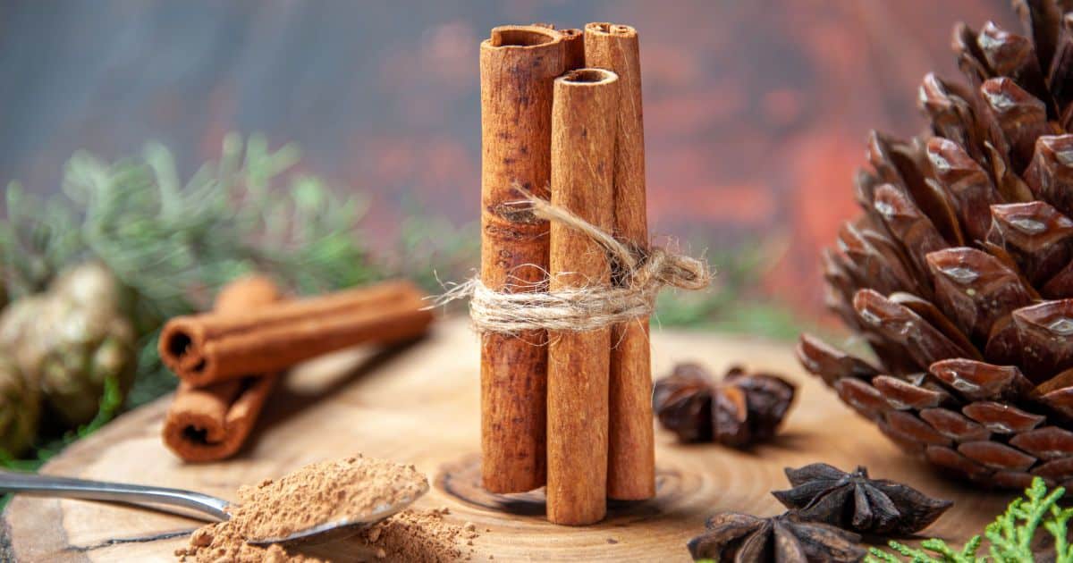 5 крапель у воду — і дім наповнюється ароматом різдвяної кав’ярні Кориця