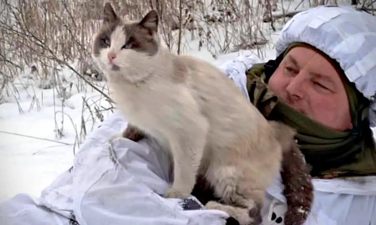 «Козак Мамай» з Рівненщини: водій-далекобійник тричі виживав на фронті й мріє повернутися на дороги «Козак Мамай» з котом.