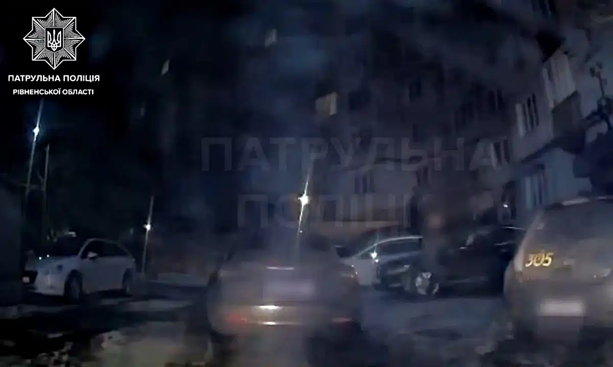 Патрульні затримують водія тесли.