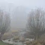 Прогноз погоди для Рівненщини на 2 грудня. Невеликий дощ, вночі та вранці сильний туман