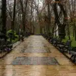 Прогноз погоди для Рівненщини на 3 грудня. Хмарно, без істотних опадів