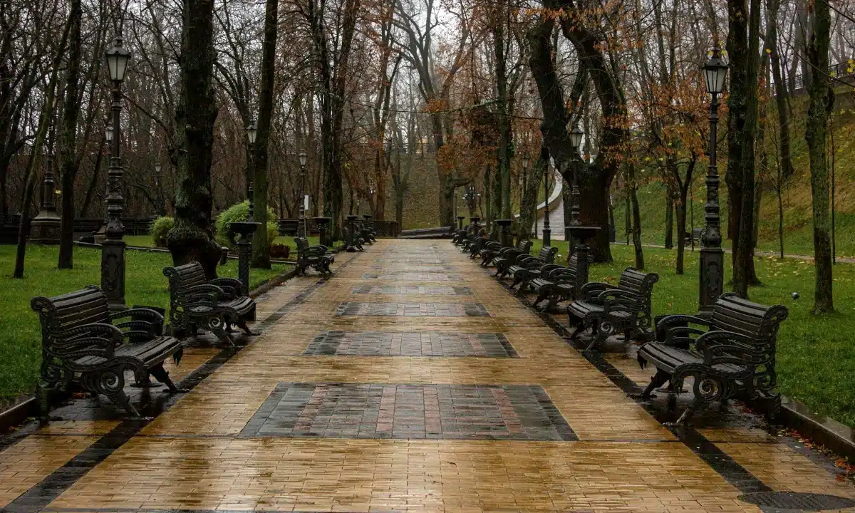 Прогноз погоди для Рівненщини на 3 грудня. Хмарно, без істотних опадів