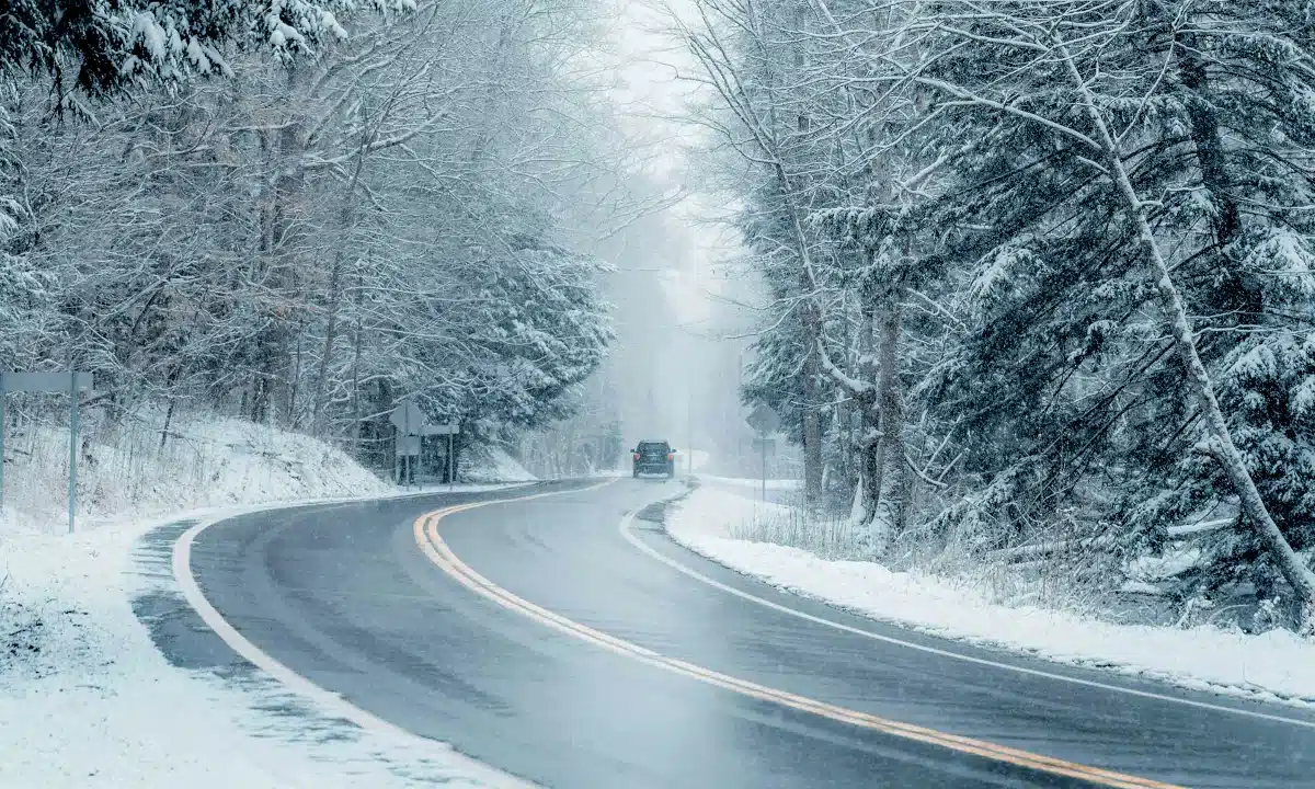 Авто їде мокрою дорогою через засніжений ліс.