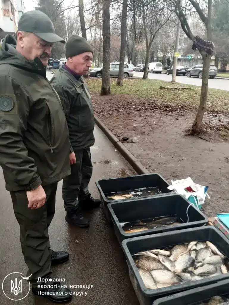 Перевірка ринків.