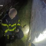 рятувальник