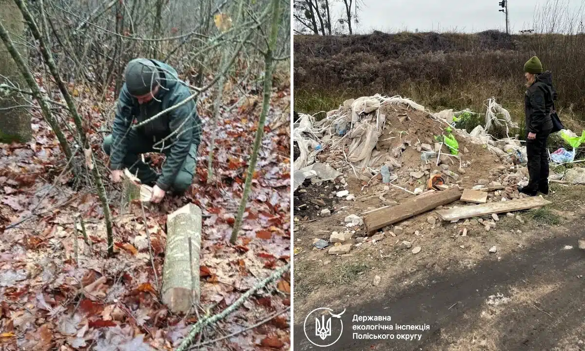 Сміттєзвалища, незаконні рубки та порушення природоохоронного режиму виявили на Сарненщині Зрізане дерево і сміттєзвалище.