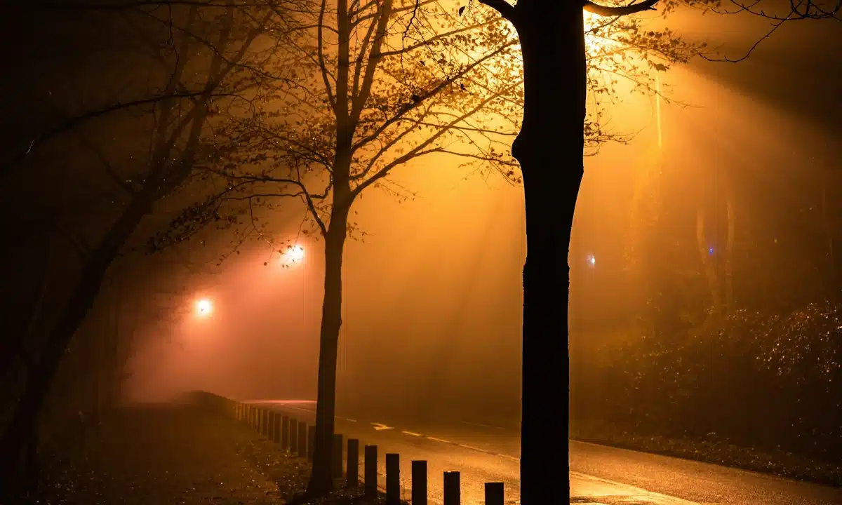 Сильний нічний туман на освітленій ліхтарями дорозі.