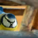 Прогноз погоди для Рівненщини на 7 грудня. Без істотних опадів, вночі до -5 морозу