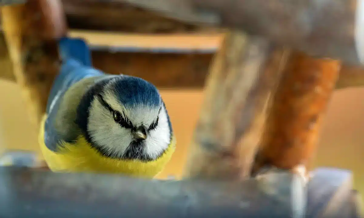 Прогноз погоди для Рівненщини на 7 грудня. Без істотних опадів, вночі до -5 морозу Прогноз погоди для Рівненщини на 7 грудня. Без істотних опадів, вночі до -5 морозу