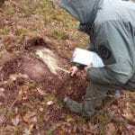 У «Цуманській Пущі» виявили масштабну вирубку — збитки перевищили 8 мільйонів гривень