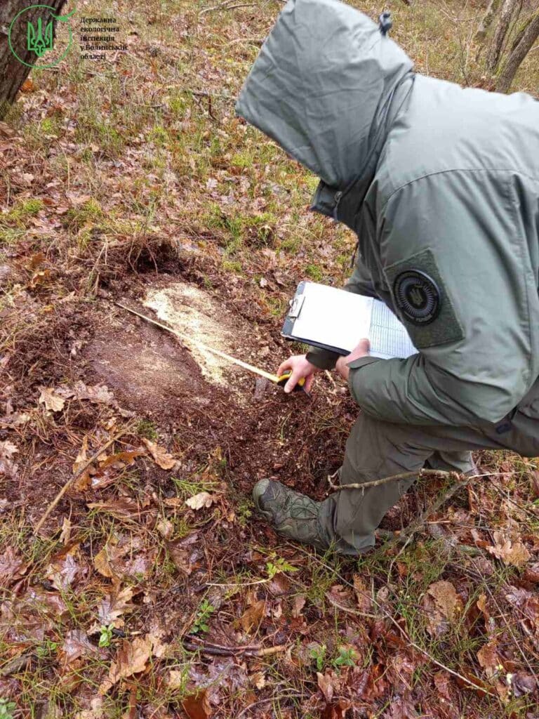 В Цуманській Пущі зафіксували незаконну рубку