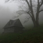 Лісовий будиночок проглядається через густий туман.