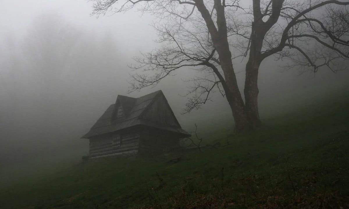 Лісовий будиночок проглядається через густий туман.