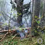 Пожежа у заповіднику після російського удару.