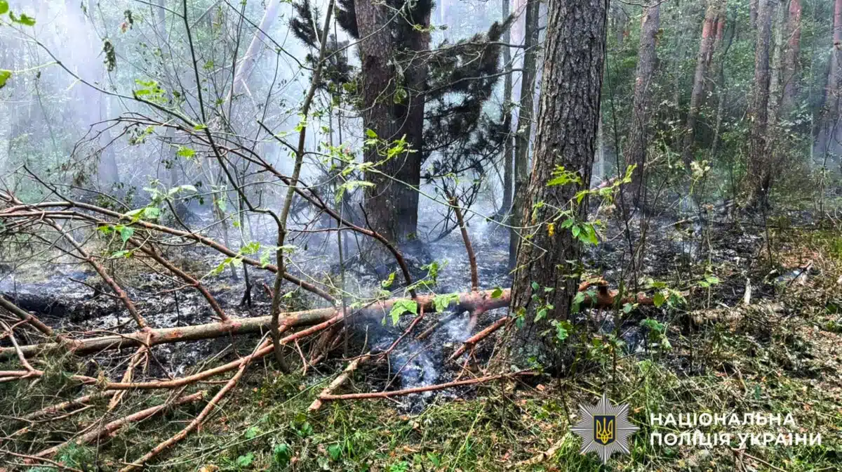 Пожежа у заповіднику після російського удару.