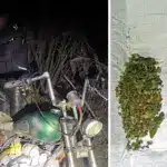 Мотоцикліста з ознаками наркотичного сп’яніння виявили у Дубні Водій, мотоцикл і речовина, виявлена у водія.