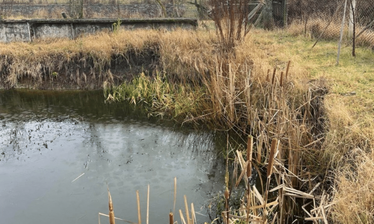 Екоінспекція зафіксувала штучну водойму без правовстановлюючих документів