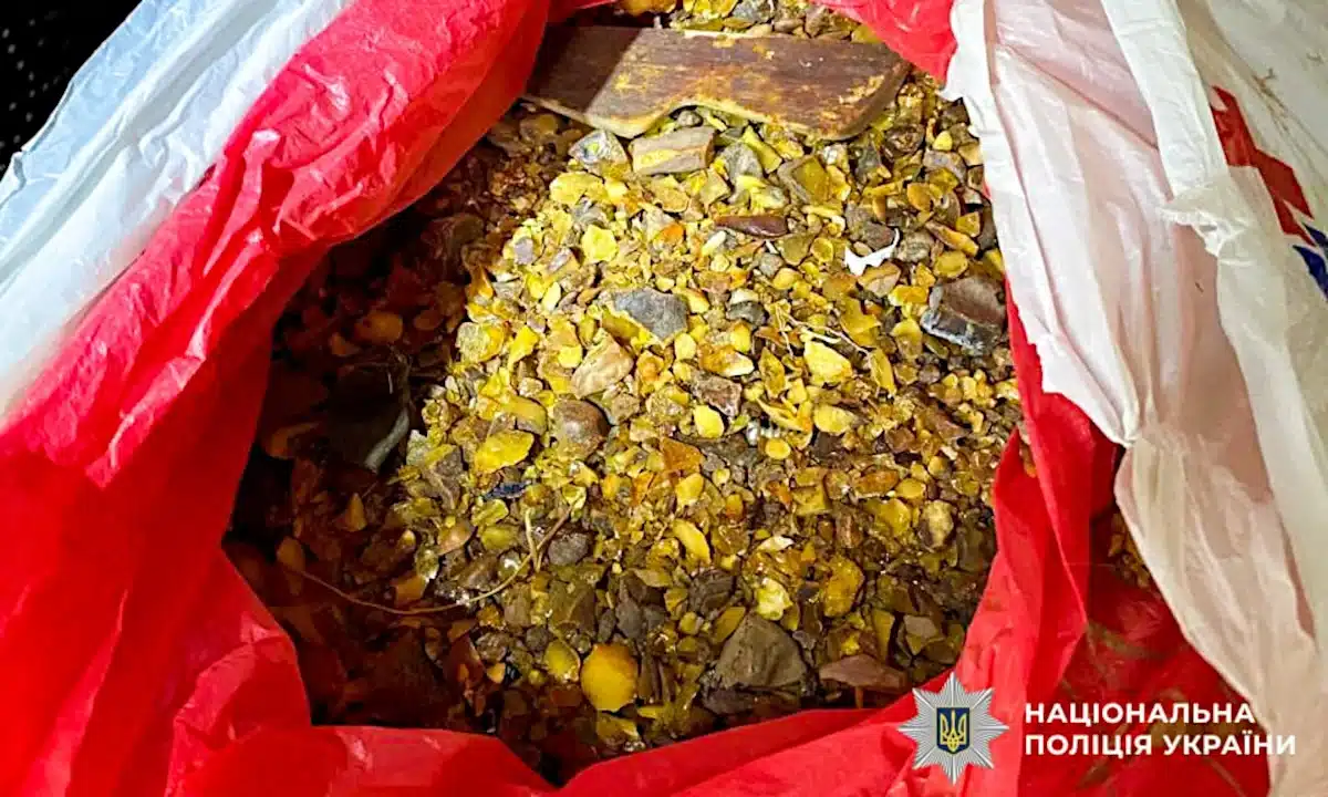 5 кг. бурштину в пакеті.