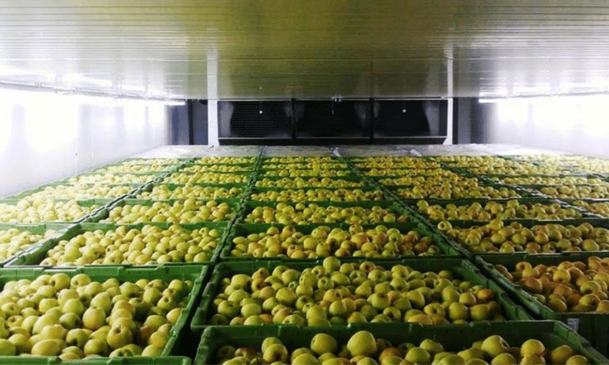 Овочесховище та фруктосховище для агровиробників в Україні