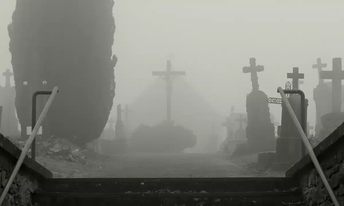 На Радивилівщині жінка пошкодила могилу чоловіка – суд вирішуватиме питання примусового лікування Цвинтар вкритий туманом.