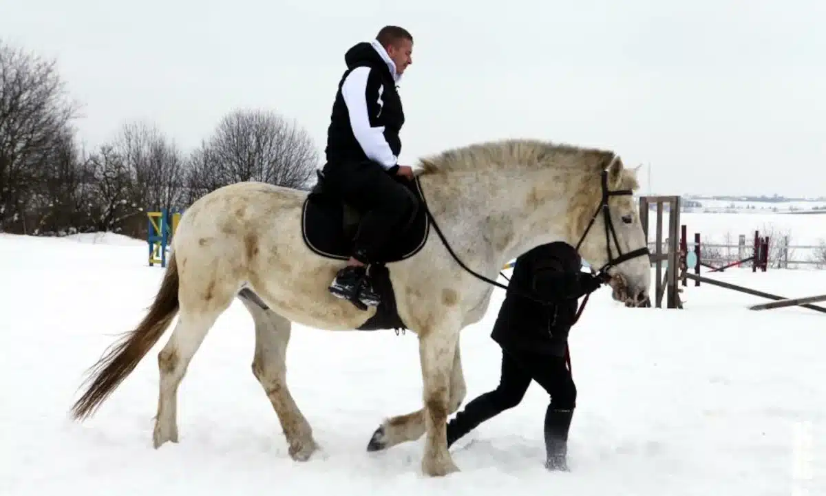 Нацгвардієць їде на коні.