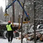 Відвантаження деревини на Рівненщині.