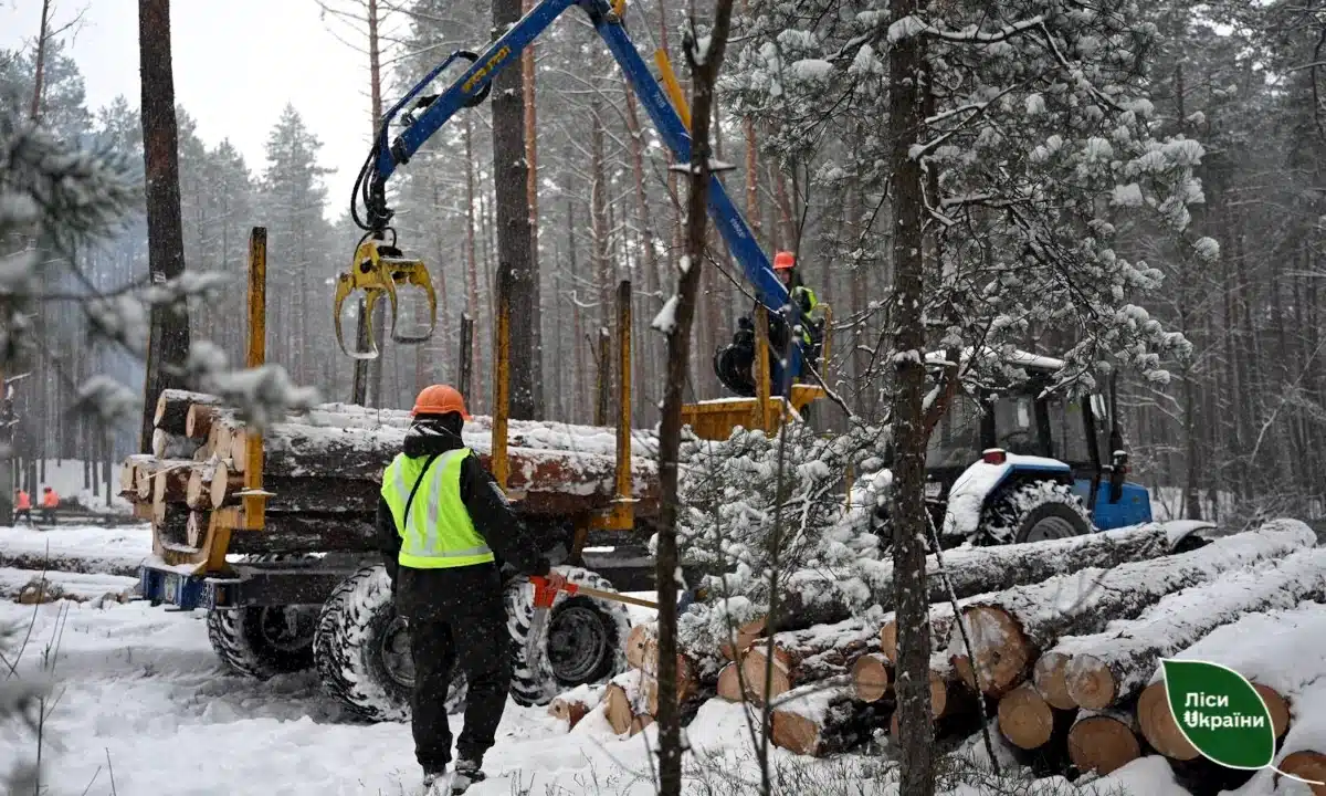 Відвантаження деревини на Рівненщині.
