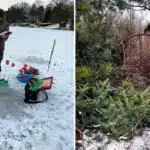 Екопатрулі на Рівненщині за тиждень виявили незаконні рубки та порушення біля водойм Інспектор спілкується з рибалкою, і докази незаконної порубки дерева.