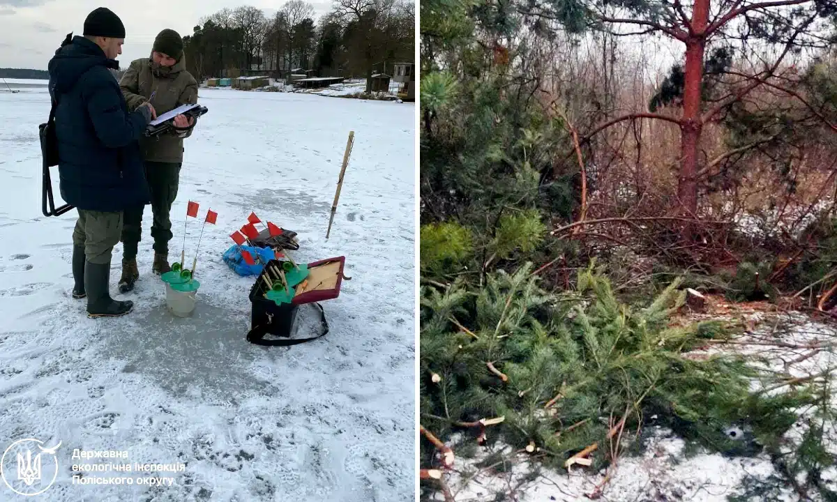 Інспектор спілкується з рибалкою, і докази незаконної порубки дерева.