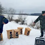 Гоголятники готові до встановлення.
