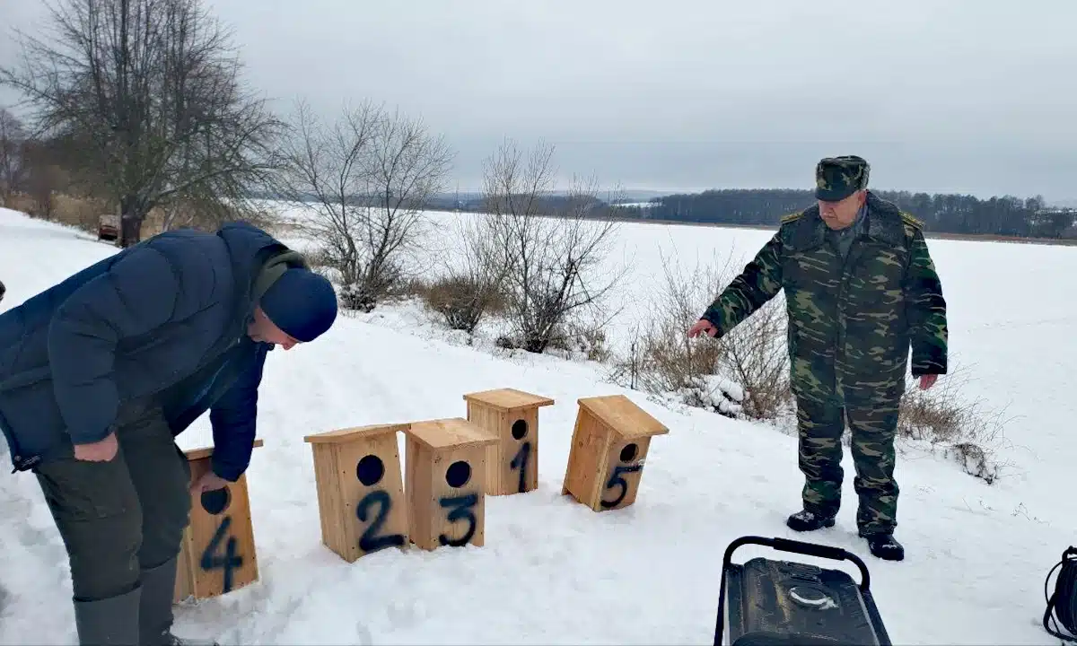 Гоголятники готові до встановлення.