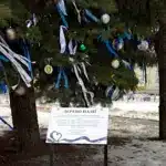 У центрі Рівного з’явилося пояснення, чому Дерево Надії стало важливим символом для міста Інформаційна табличка біля Дерева Надії у Рівному.