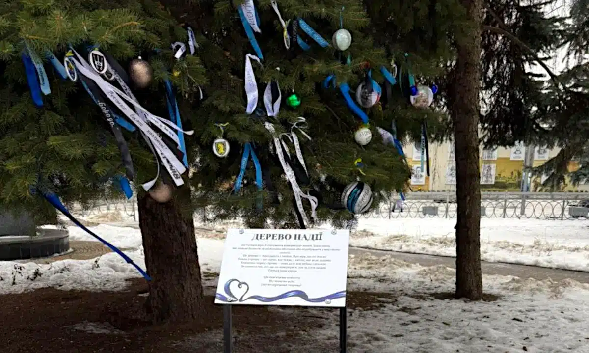 Інформаційна табличка біля Дерева Надії у Рівному.
