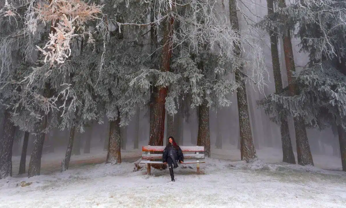 Дівчина сидить на лавці у засніженому й туманному лісі.