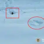 Виявлені на Рівненщині міни.