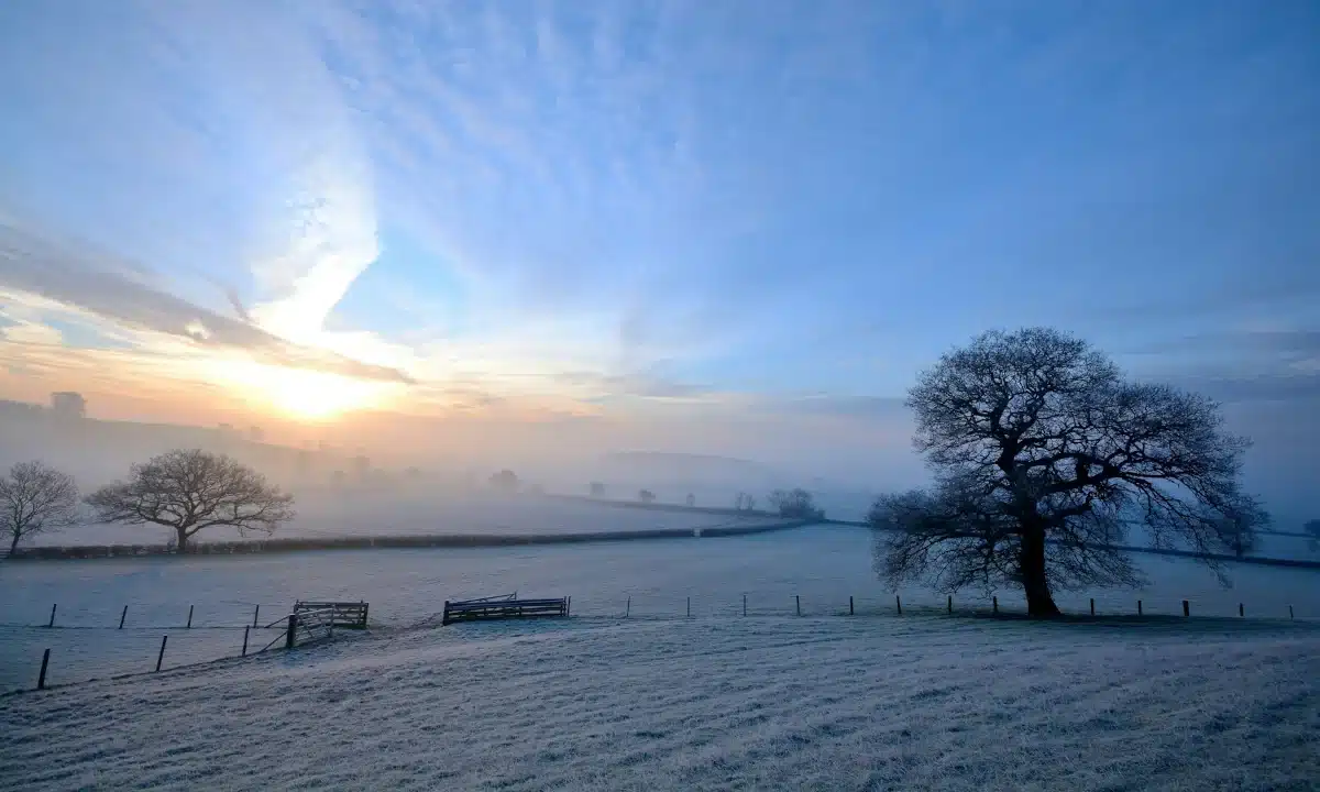 Якою буде погода на Рівненщині 1 лютого. Вночі температура може опуститися до -27 Морозний ранок.