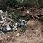 Сміттєзвалище в Немовичах на Сарненщині.