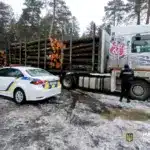 Вантажівка з незаконно зрубаним лісом.