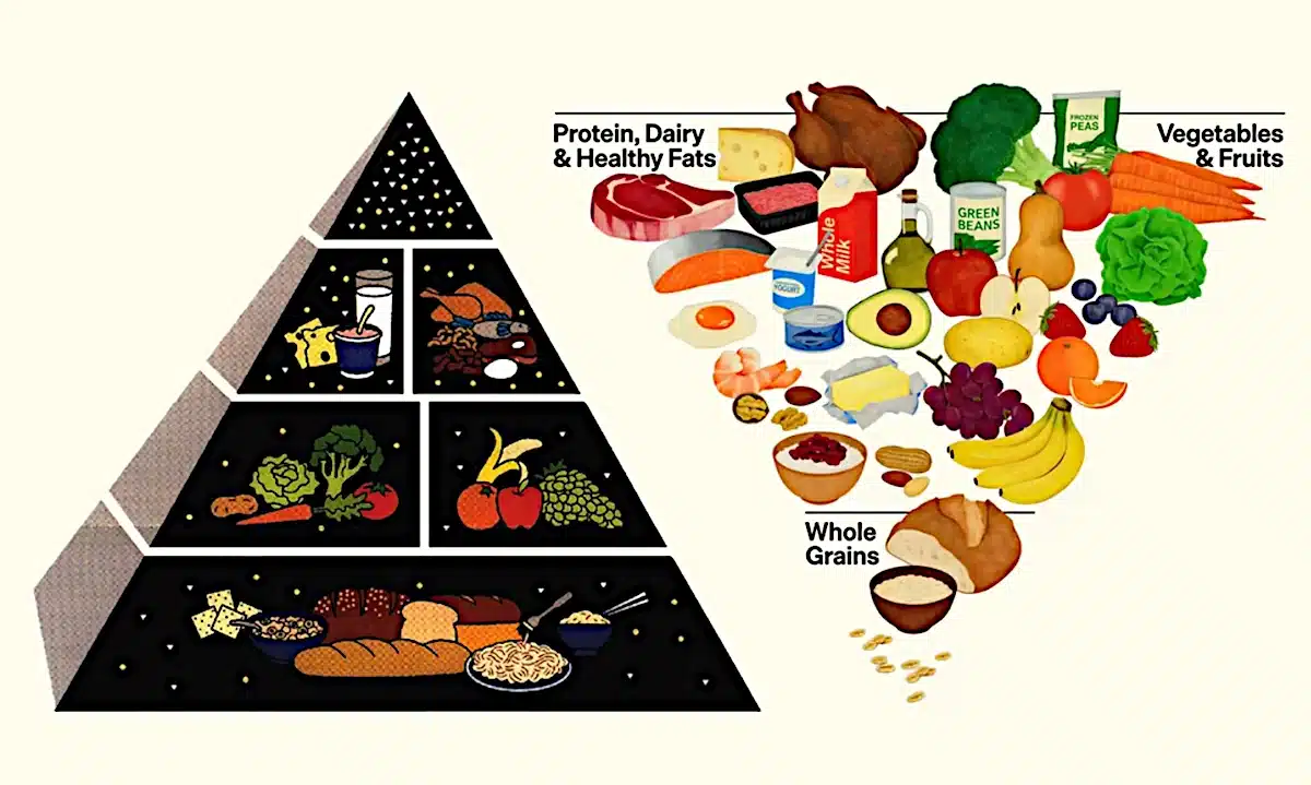 Стара і нова піраміди харчування.