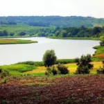 Суд зобов’язав Острозьку громаду впорядкувати водні об’єкти й заповідники. Апеляція міськради не спрацювала Озеро.