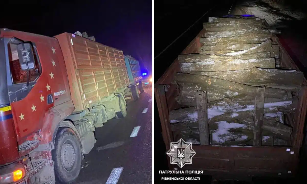 Вантажівку з деревиною без документів зупинили біля Млинова Вантажівка, і деревина, яку вона перевозила.