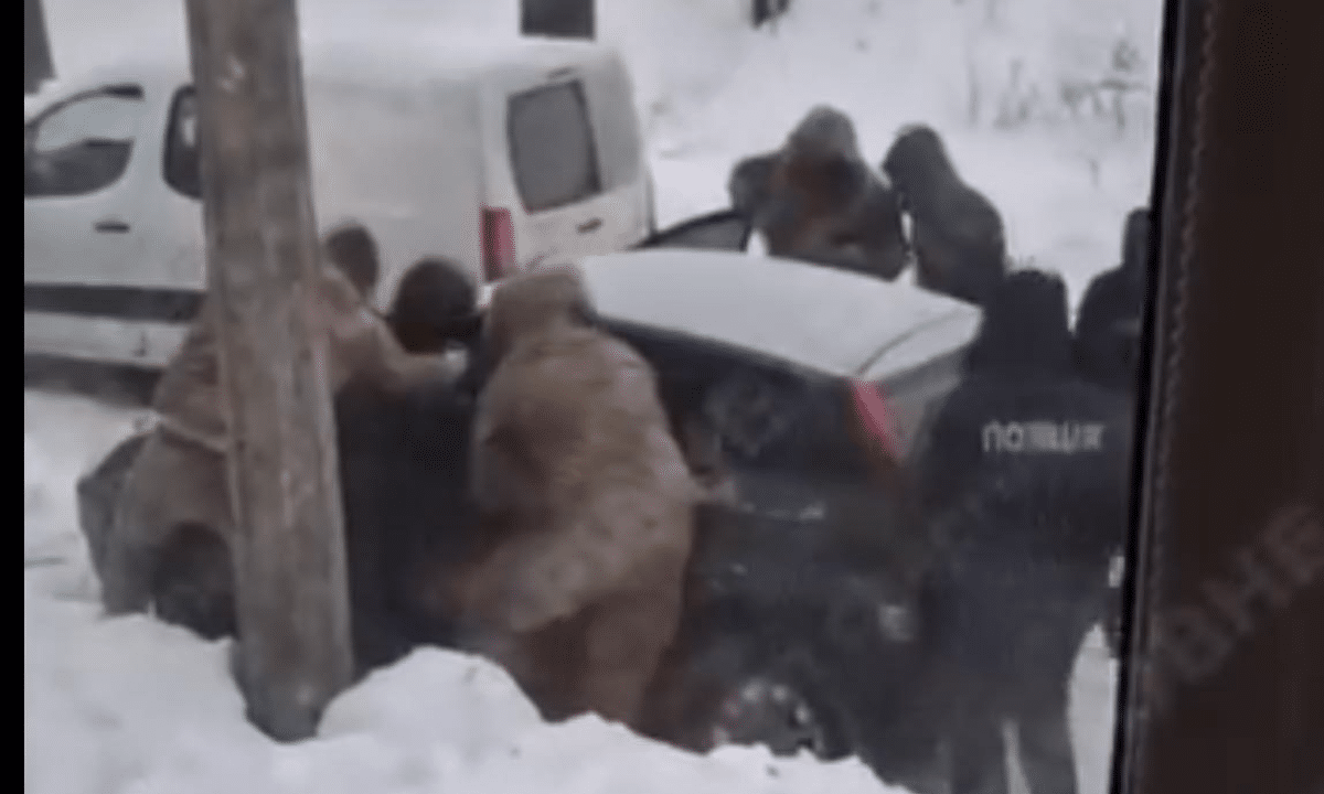 Омбудсман перевіряє інцидент із затриманням цивільного на Рівненщині